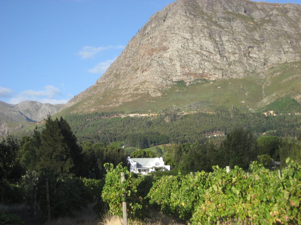 Franschhoek Rose Cottages Bagian luar foto