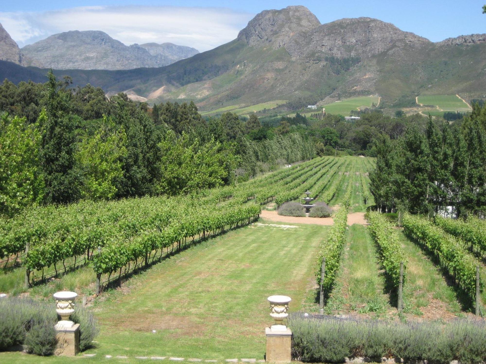 Franschhoek Rose Cottages Bagian luar foto