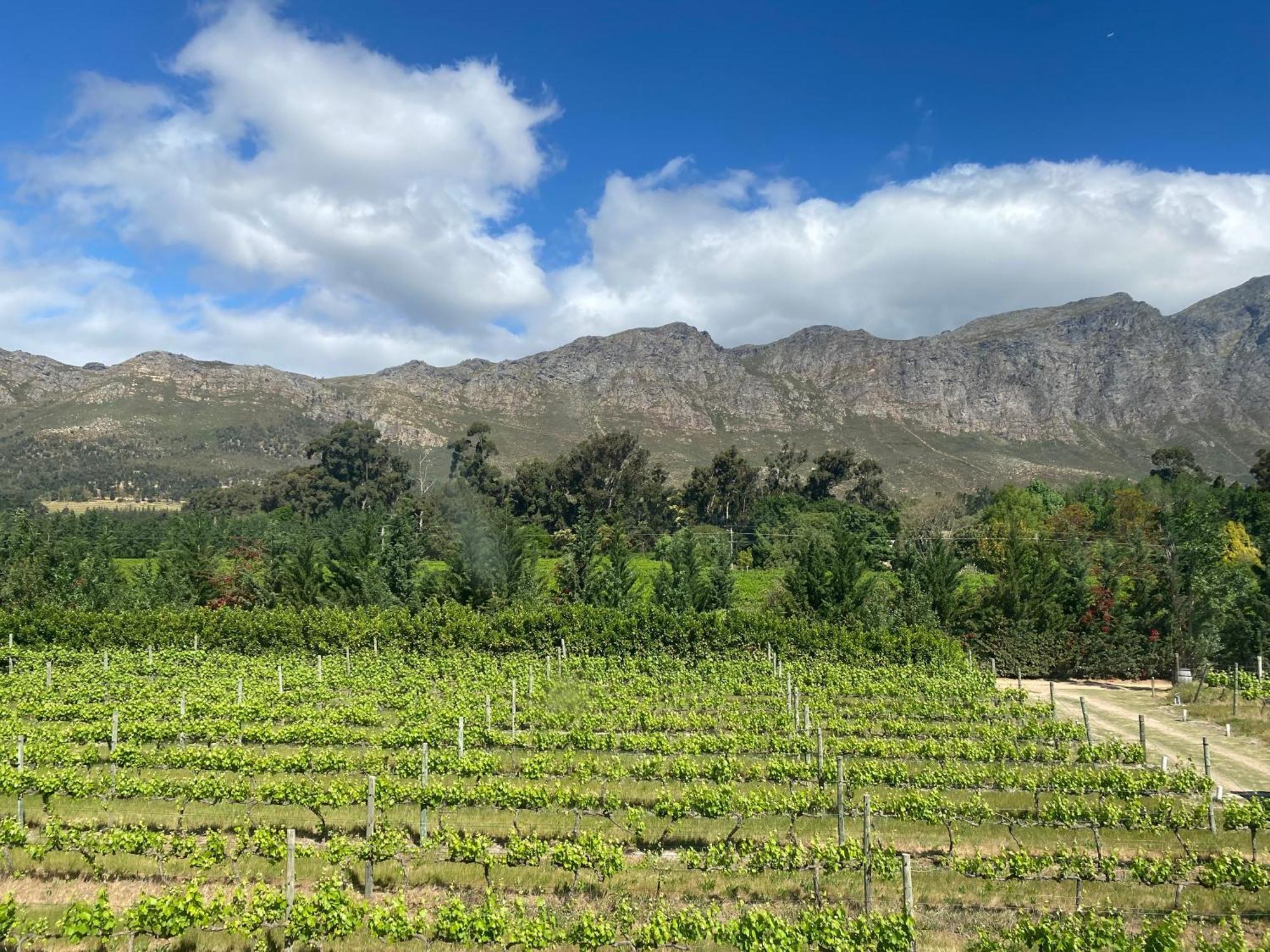 Franschhoek Rose Cottages Bagian luar foto