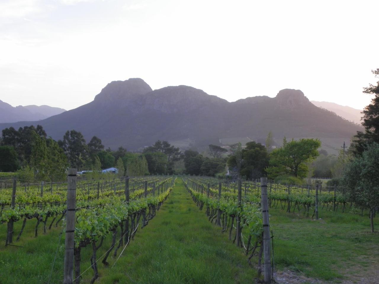 Franschhoek Rose Cottages Bagian luar foto